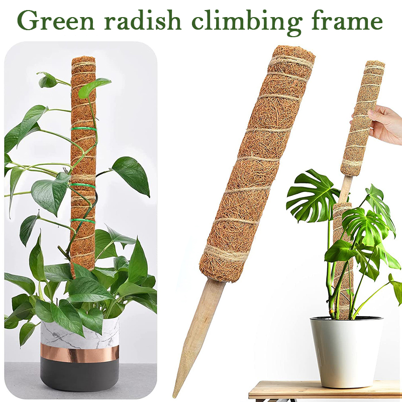 30/40/50 см койра для восхожде – обзор и цена Sphagnum Moss Dry
