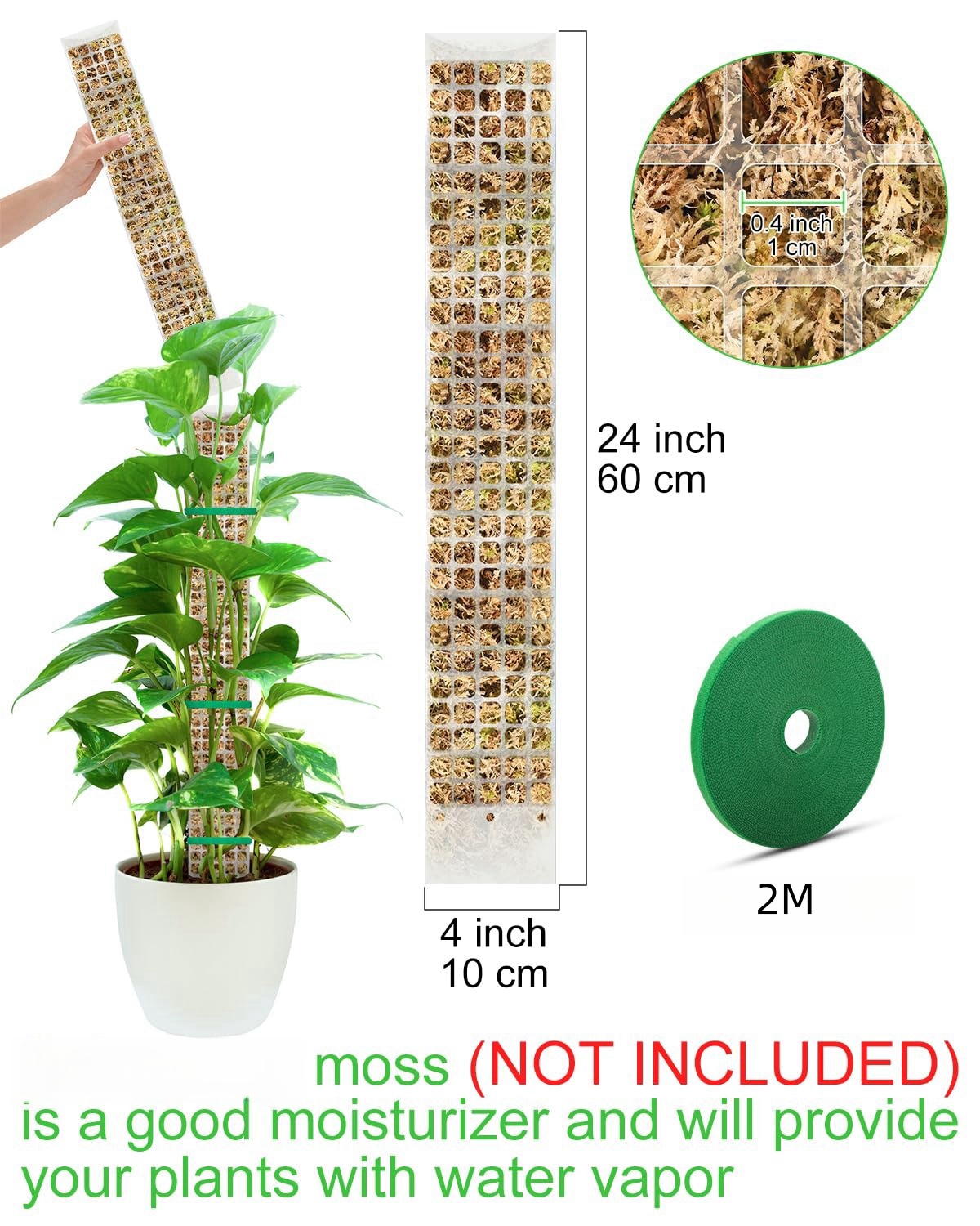 Растения Моховый столб Садовый – обзор и цена Sphagnum Moss Dry