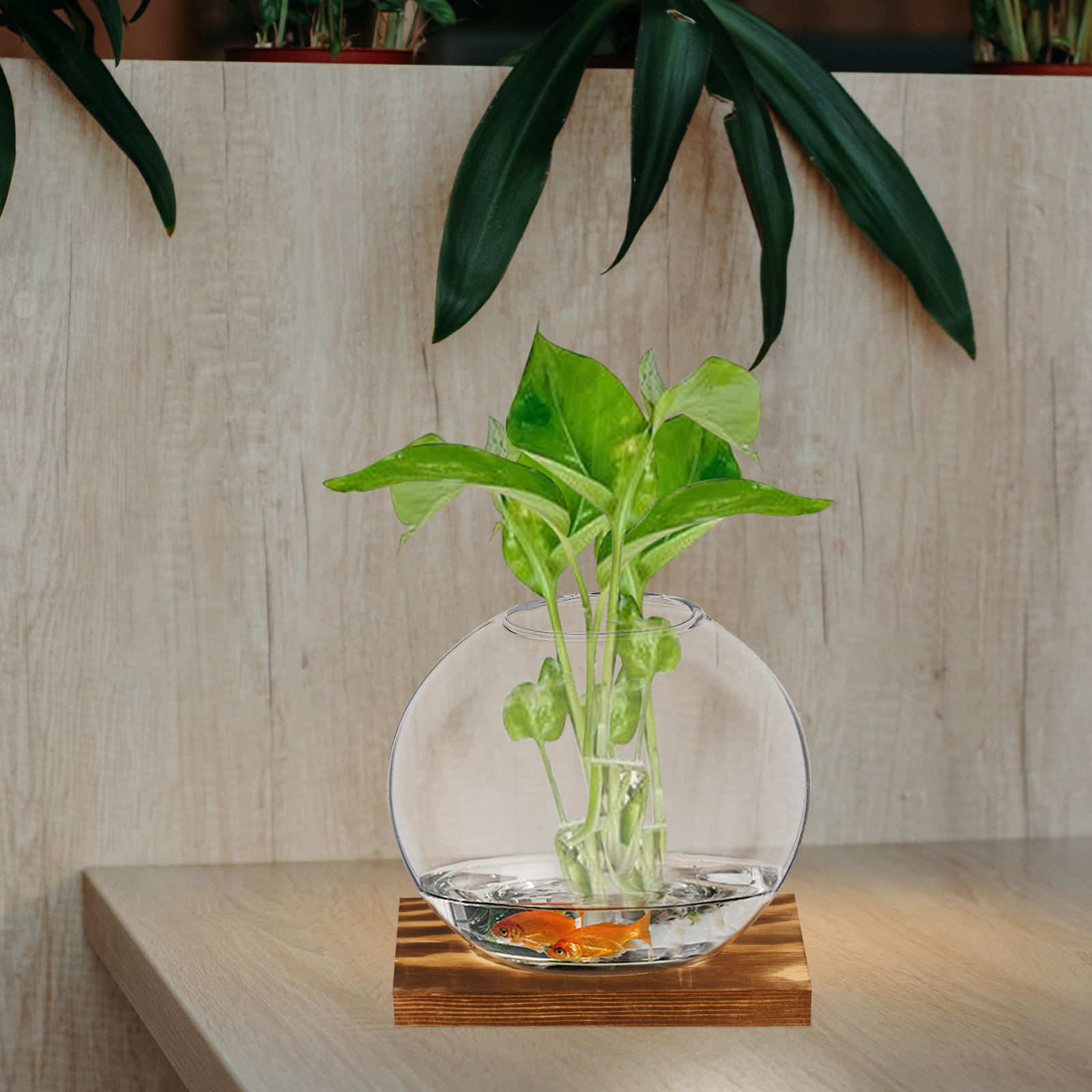 2 комплекта стеклянных ваз для – обзор и цена Propagation Station Vase
